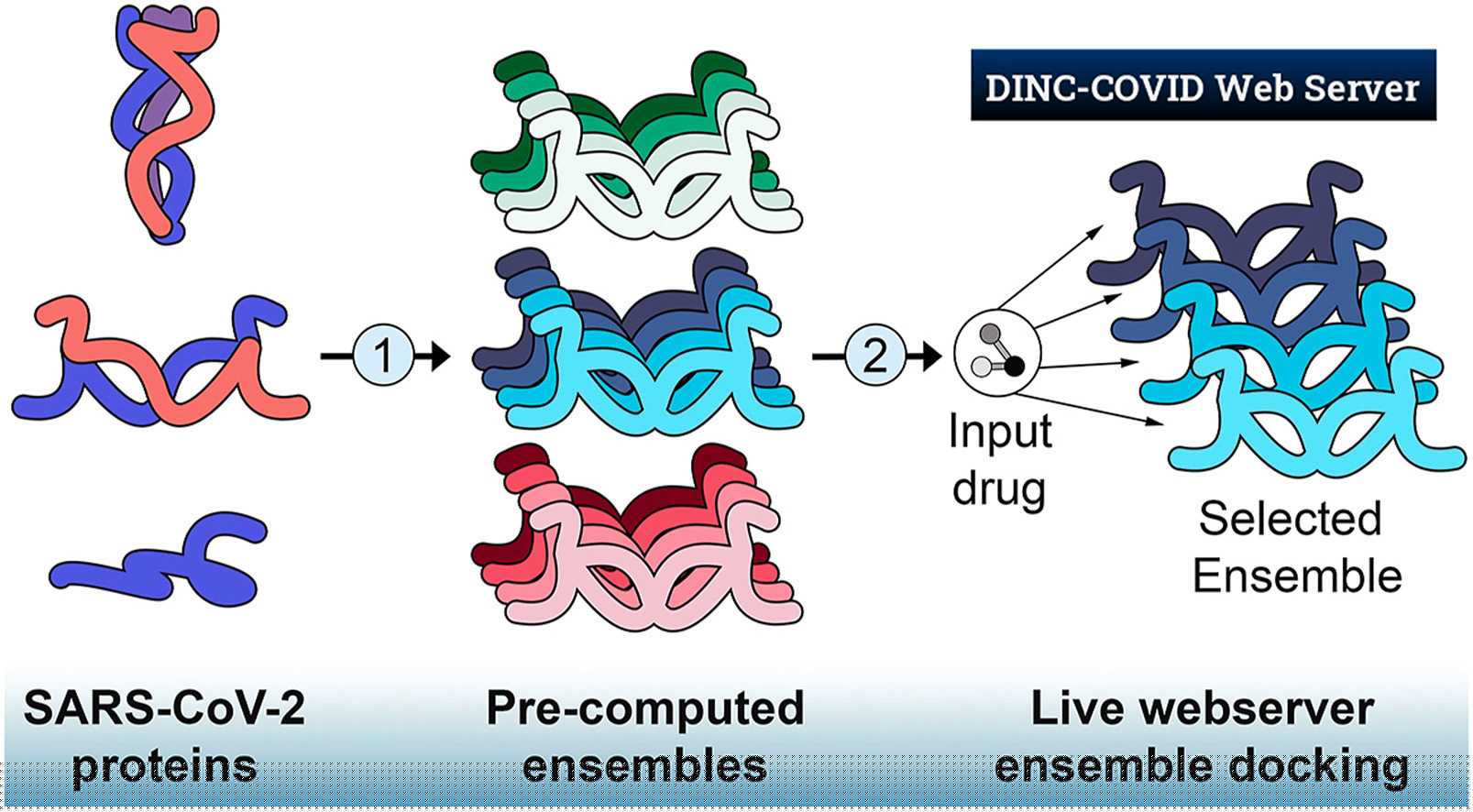DINC-Covid Image